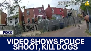 DC police release body-worn camera video of officer shooting, killing 2 dogs in Petworth