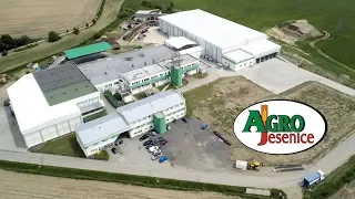 AGRO Jesenice u Prahy – Mražená zelenina