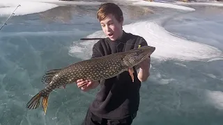Fishing Chronicles ICE: Huge pike catch in southern alberta