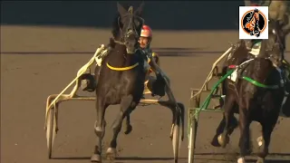 СКАЧКИ.Махараджа — Всероссийский рекордист🐎🐎🐎