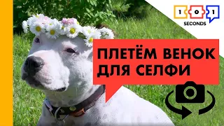 Как сплести венок из цветов?