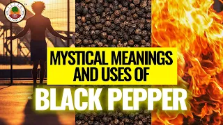 BLACK PEPPER: Secret Magical Spice | Yeyeo Botanica