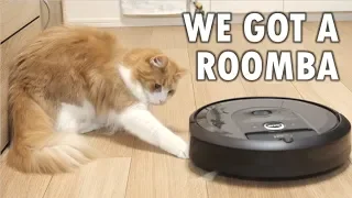 So we got a Roomba