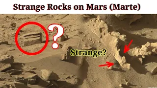 Strange Rocks on Mars (Marte) | NASA Perseverance Curiosity