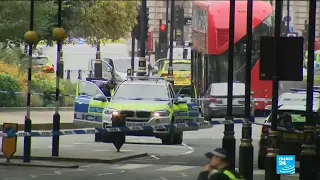 Driver arrested for terrorism offences after incident outside UK parliament