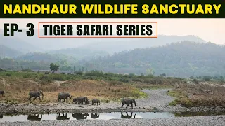 Must Visit This Jungle | Nandhaur Wildlife Sanctuary | Jungle Safari #wildlife