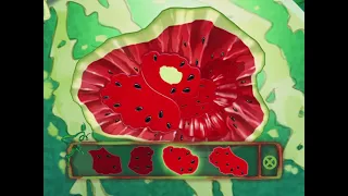A Bug's Land Part 2 Watermelon DVD Gameplay