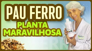 Pau ferro: que planta maravilhosa!