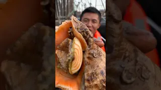 Amazing Eat Seafood Lobster, Crab, Octopus, Giant Snail, Precious Seafood🦐🦀🦑Funny Moments 120