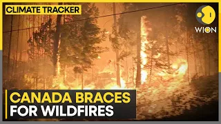 Canada braces for more wildfires; oil companies reduce staff members on duty | WION Climate Tracker