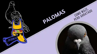 Palomas: Misteriosos son los caminos de la paloma. | Ep 68 | CULTURA COLMILLUDA