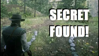 New HIDDEN SECRET Found and Strange Man Appearance in Red Dead Redemption 2!