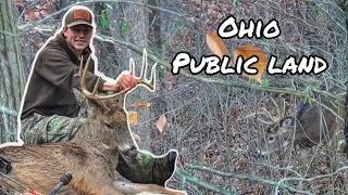 OHIO PUBLIC LAND BUCK!!! - Bow Hunting Hill Country Bucks During the Rut