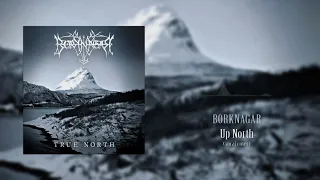 Up North (BORKNAGAR Vocal Cover)