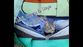 Fun Bedtime Story For Kids | Heidi Cherry & Vaya Go Camping