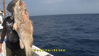 ムロアジ泳がせ釣り　沖縄　3月21日