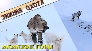 Зимняя охота в горах Момы