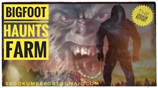 Bigfoot haunts a family's farm!