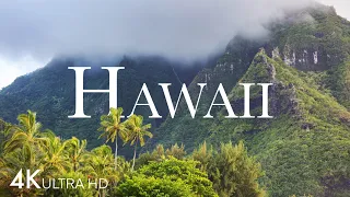 HAWAII In 4K ULTRA HD - Paradise Islands To Visit | Aerial Drone | Scenic Relaxation Film