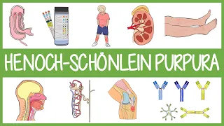 Henoch Schönlein Purpura in 3 Minutes