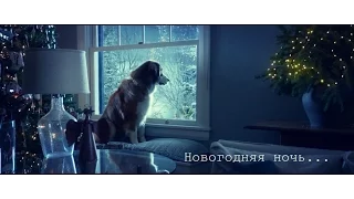 Новогодняя ночь 2016 год...  Денис Белик / Ivan Lexx