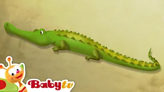 Crocodile 🐊​ | Riddle Games With Animals | Animal for Kids @BabyTV