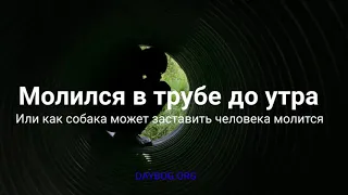 МОЛИЛСЯ В ТРУБЕ ДО УТРА, КАК СОБАКА ЗАСТАВЛЯЛА МОЛИТСЯ. ОПЫТЫ С БОГОМ, Свидетельство о  Боге.