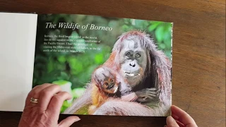The Wildlife of Borneo | Saal Digital Photobook Review