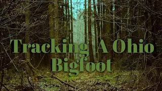 Tracking a Ohio #bigfoot Or Was it Tracking us?