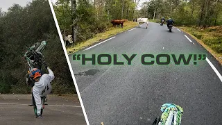 Supermoto VS Cow! | Exc 250 Wheelie Edit