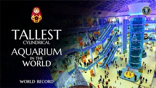 The Tallest Aquarium in the World | Popular Russia | Russian records