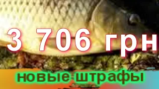 НОВЫЕ ШТРАФЫ за незаконно выловленную рыбу / Украина
