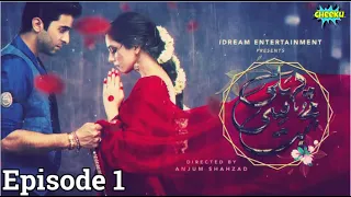 Pehli Si Muhabbat - Episode 1 | English SubTitles | Only On Ary Digital | Drama