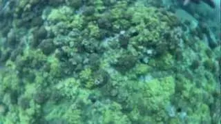 Molokini Hawaii Maui snorkeling very shallow GoPro underwater