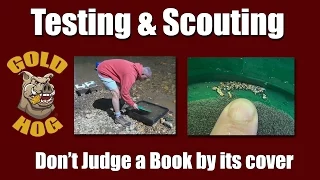 Scouting For Gold - Testing for Gold