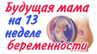 Будущая мама на 13 неделе беременности!