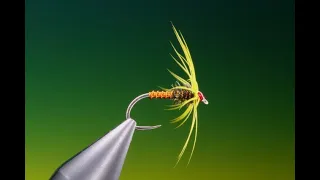 Fly Tying a Soft hackle wet fly with Barry Ord Clarke