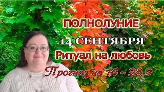 🌕 Полнолуние 14 сентября🌕Прогноз на 14-28 сентября / Ритуал на любовь⭐ астролог Аннели Саволайнен