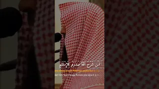 Muhammad Al Luhaidan محمد اللحيدان Мухаммад аль-Люхайдан Сура 39: Аз-Зумар / Толпы аят 22.