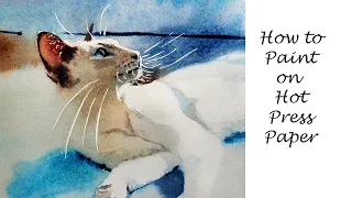 How to Paint on hot press watercolor paper - 4 Beginners - Lilac Point Siamese Cat Tutorial