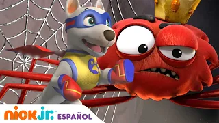 Paw Patrol, Patrulla de cachorros | ¡Apollo, el Súpercachorro, contra el rey araña!  | Nick Jr.