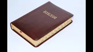 Щоденне читання Біблії 08 07 22