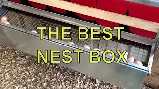 BEST NEST BOX ~ THE ULTIMATE CHICKEN LAYING BOX