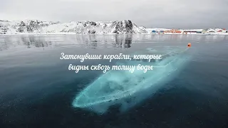 Sunken ships visible through the water column.