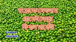 পাইকারি লেবুর বাজার। Wholesale lemon market, Dhamrai   - প্রতি বছর শত কোটি টাকার লেবু বিক্রয়