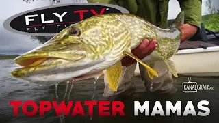 FLY TV - Topwater Mamas (Pike Fly Fishing in the Mountains)