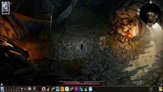 Divinity: Original Sin II. История одного вора.