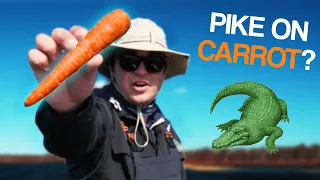 Will Russian Pike eat CARROT?!🥕