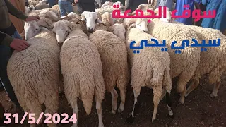 اثمنة الاضاحي بسوق سيدي يحي ليومه الجمعة 31/5/2024 وجدة