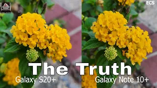 Galaxy S20 Plus Vs Galaxy Note 10 Plus Camera Comparison | The BIG DOGS is here !!! |